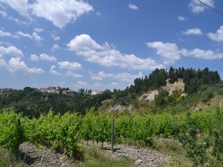 Maison de vacances Lajatico Environnement 30