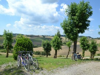 Holiday house Lajatico  39