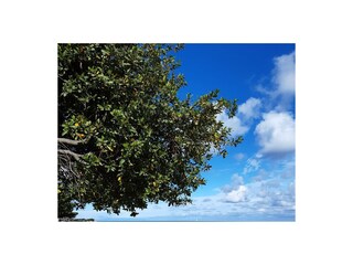 Appartamento Karigador Ambiente 27