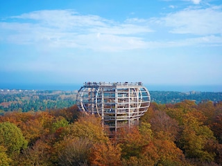 Treetop walk in the Rügen nature centre