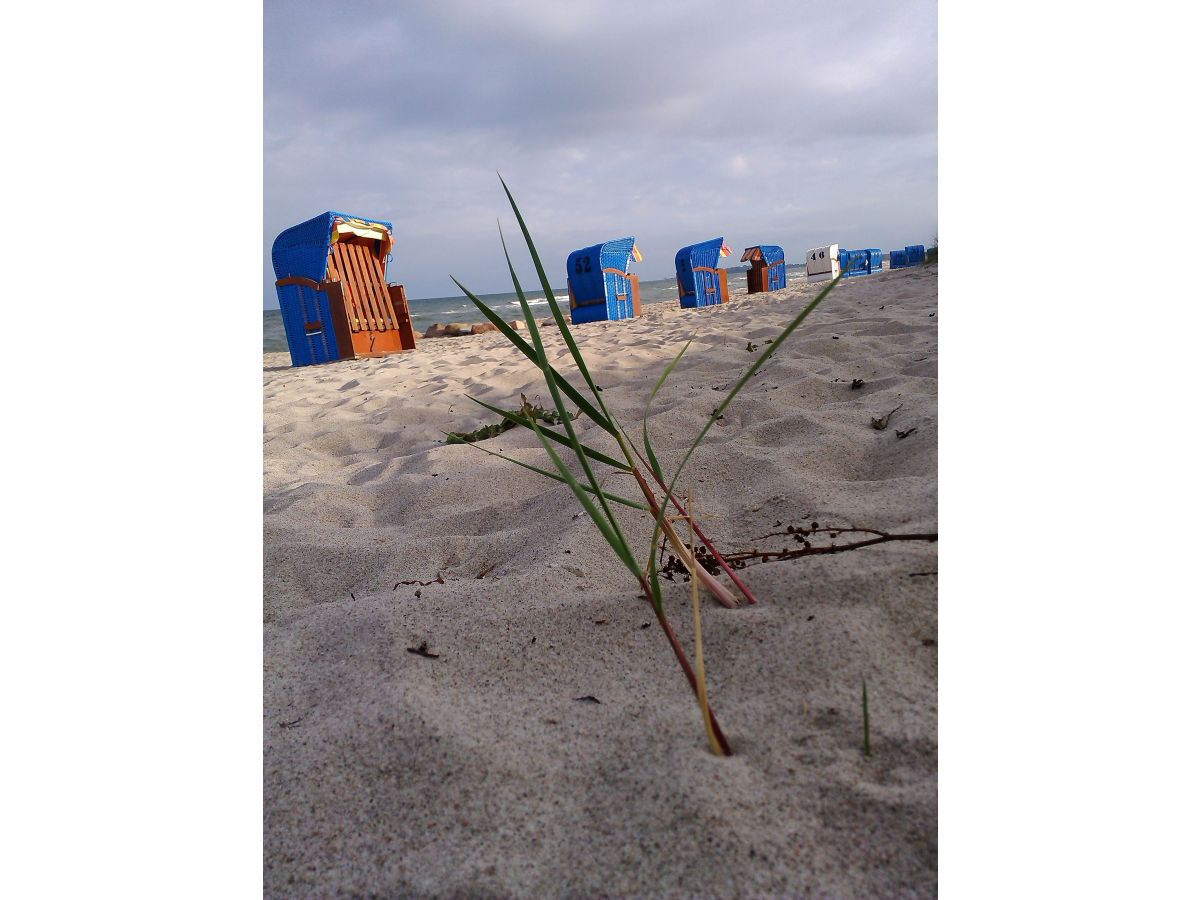 Strand bei Maasholm