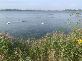 Appartamento per vacanze Kronsgaard Caratteristiche 29