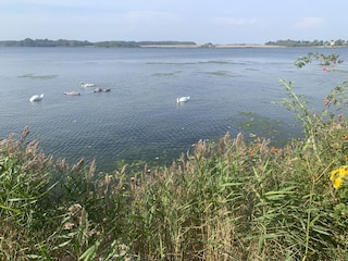 Appartement de vacances Kronsgaard Équipement 29