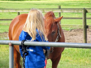 Appartamento per vacanze Kronsgaard Ambiente 39