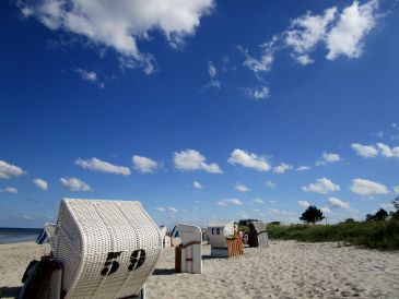 Ferienwohnung direkt am Ostseestrand