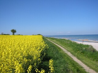 Vakantieappartement Kronsgaard Buitenaudio-opname 6