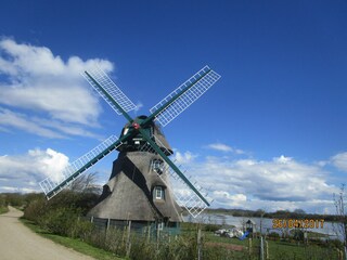 Vakantieappartement Kronsgaard Kenmerken 26