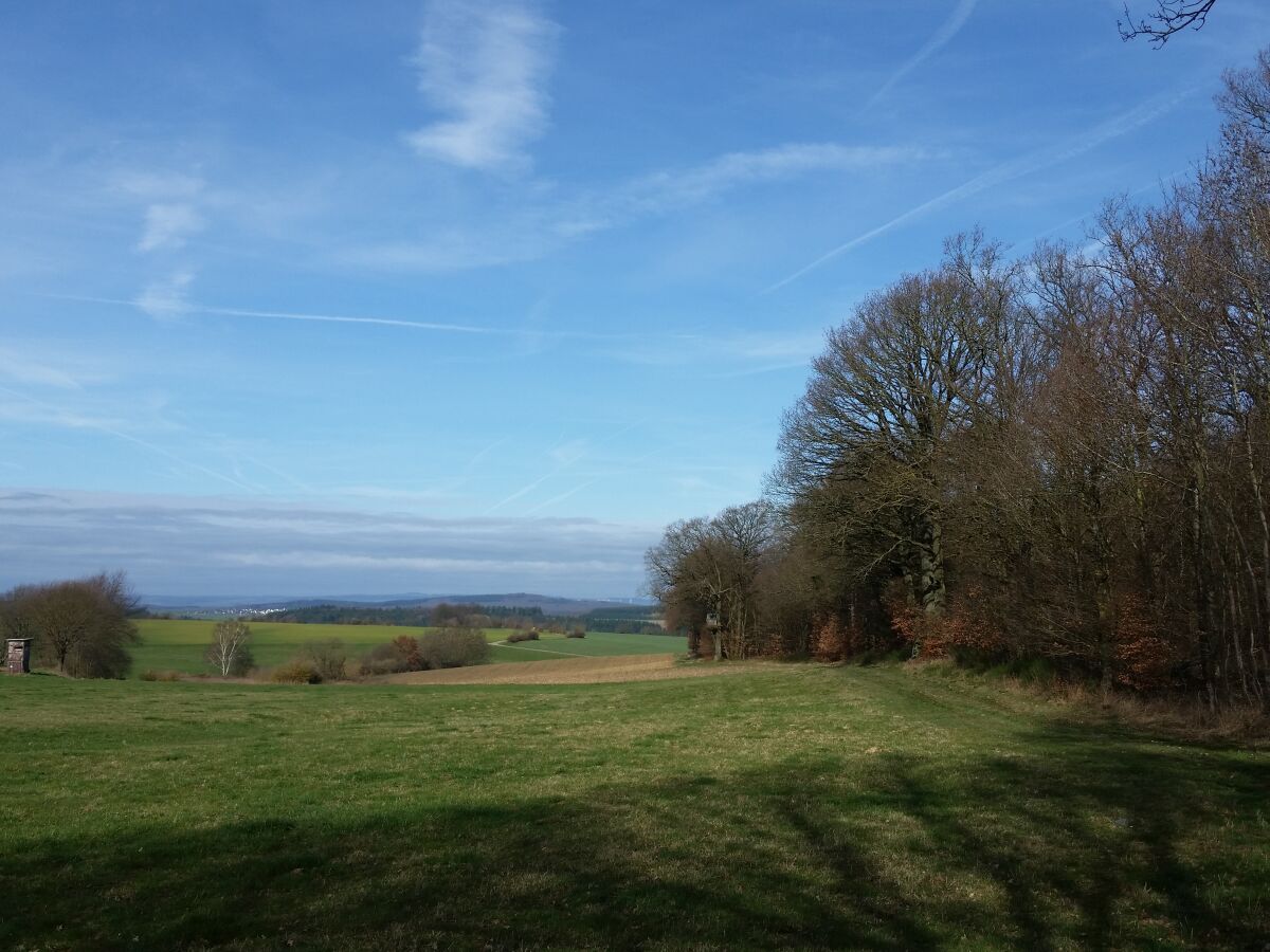 Aussicht Richtung Mosel