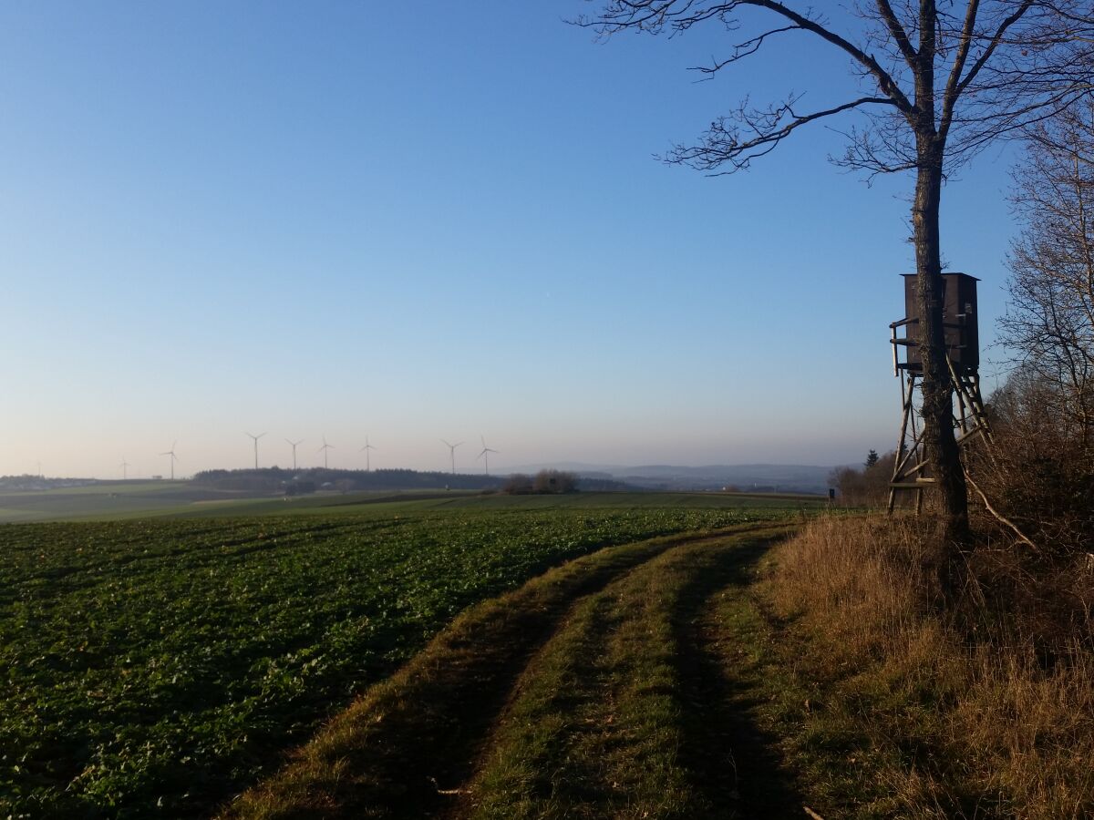 Blick Richtung Beltheim