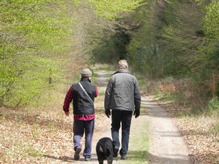 Ferienhaus Trippstadt Umgebung 24