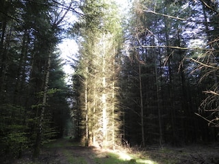 Ferienhaus Trippstadt Umgebung 25