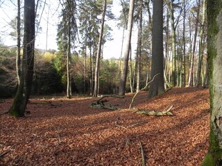 Ferienhaus Trippstadt Umgebung 27