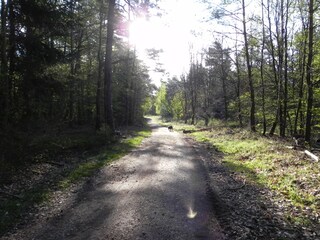 Ferienhaus Trippstadt Umgebung 28