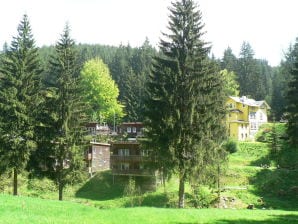 Ferienhaus Feriendorf Bad Hundertpfund - Großbreitenbach - image1