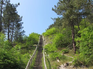 Appartamento per vacanze Schoorl Ambiente 14