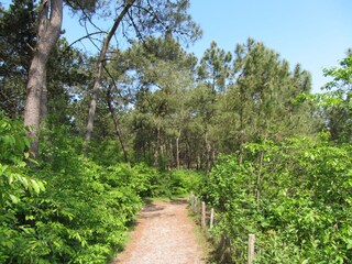 Appartamento per vacanze Schoorl Ambiente 15