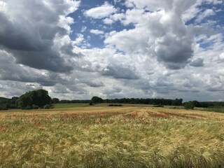 Vakantiehuis Durbuy Omgeving 36