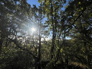 Maison de vacances Montaigu-de-Quercy Environnement 22