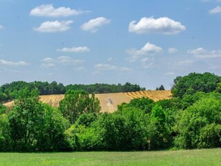 Ferienhaus Montaigu-de-Quercy Umgebung 30