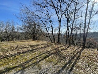 Vakantiehuis Montaigu-de-Quercy Omgeving 29