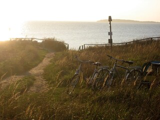 Abenddämmerung am Bodden