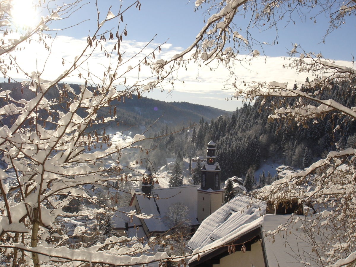 winterlicher Ausblick