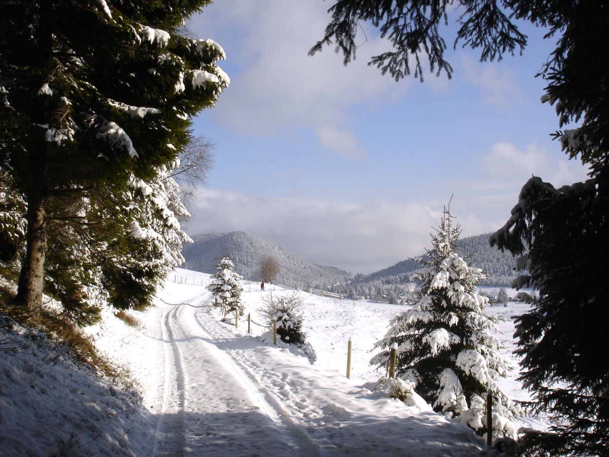 Winterwanderung