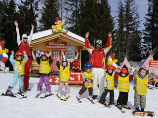 Apartment Mayrhofen Umgebung 45