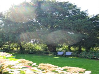 Vakantiehuis Huelgoat Omgeving 37