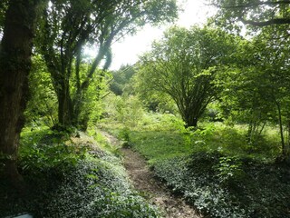 Vakantiehuis Huelgoat Omgeving 39