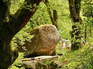 Holiday house Huelgoat Environment 37