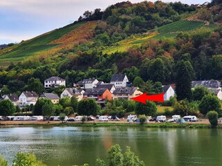 Holiday apartment Zell Mosel Outdoor Recording 3