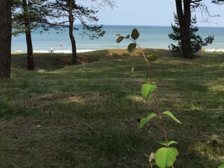 Der Strandabschnitt vor der Tür