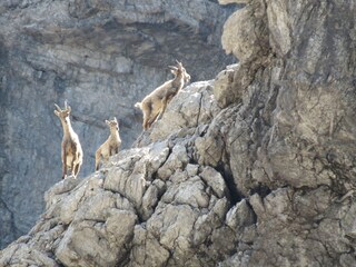 Appartamento per vacanze Oberstdorf Ambiente 17