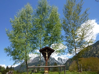Vakantieappartement Oberstdorf Omgeving 19