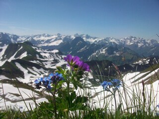 Apartamento de vacaciones Oberstdorf Entorno 20