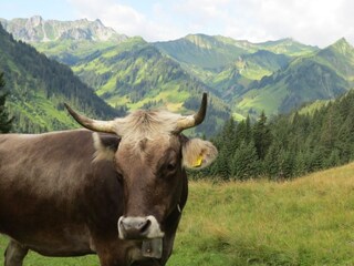 Apartamento de vacaciones Oberstdorf Entorno 21