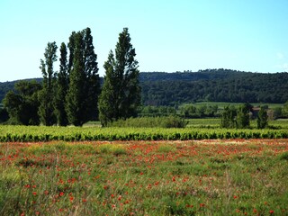 Casa per le vacanze Bizanet Ambiente 14