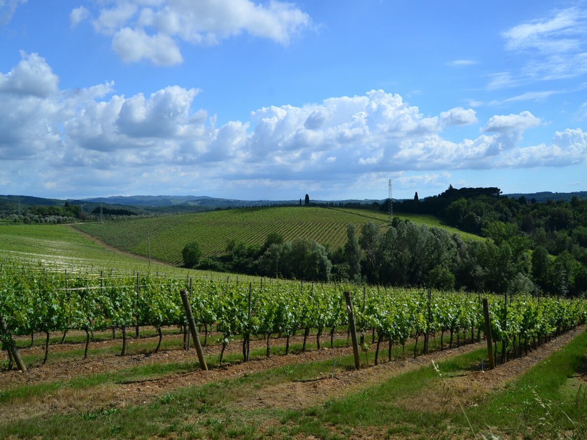 Villa Tavarnelle Val di Pesa Außenaufnahme 6