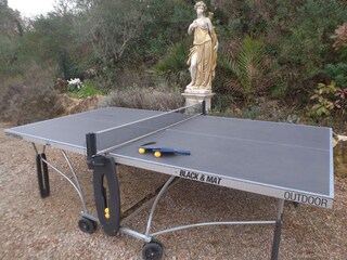 Ping pong table