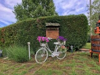 Appartement Vecchietto  36