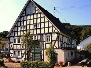 Altes Ferienhaus mit Sauna in Heinsberg - Kirchhundem - image1