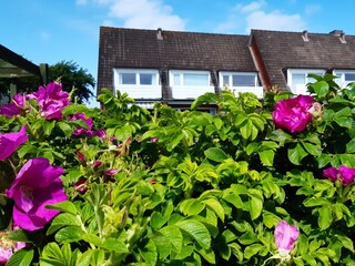 Appartamento per vacanze Wenningstedt Registrazione all'aperto 2