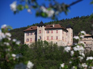 Appartamento per vacanze Predaia Documento 24