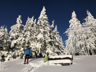 Holiday apartment Staufen im Breisgau Environment 6