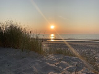 Vakantiehuis De Cocksdorp Omgeving 21