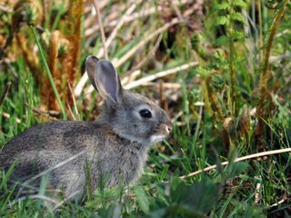 Casa per le vacanze De Cocksdorp Ambiente 25
