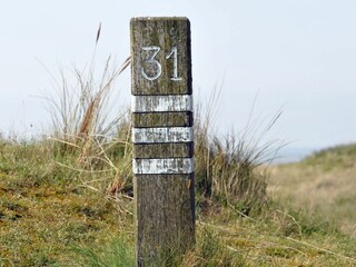 Vakantiehuis De Cocksdorp Omgeving 26