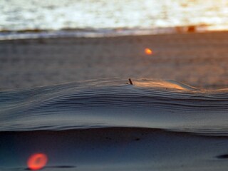 Casa per le vacanze De Cocksdorp Documento 36