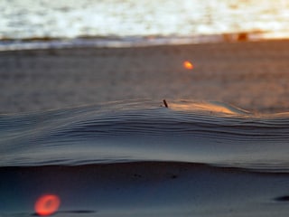 Vakantiehuis De Cocksdorp Document 36